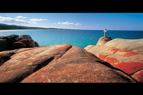Bay Of Fires Day Trip From Launceston - Accommodation Search 1