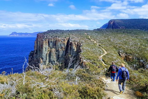 Cape Hauy Hiking Tour - Tasman National Park - Accommodation Search 0