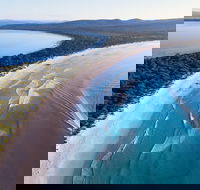 Maria Island Cruise  Walk. Renowned day tour with drinks and guided walk - Accommodation Search
