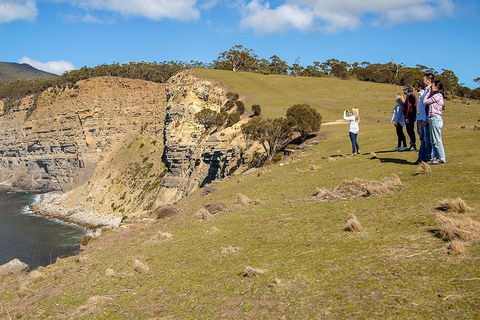 Wineglass Bay And Maria Island Wildlife Scenic Flight From Hobart - Accommodation Search 5