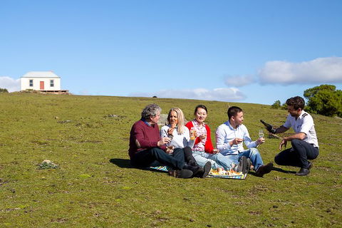 Wineglass Bay And Maria Island Wildlife Scenic Flight From Hobart - Accommodation Search 6