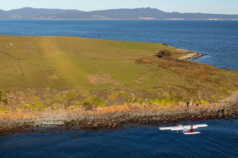 Wineglass Bay And Maria Island Wildlife Scenic Flight From Hobart - Accommodation Search 10