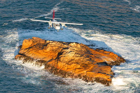 Wineglass Bay And Maria Island Wildlife Scenic Flight From Hobart - Accommodation Search 7