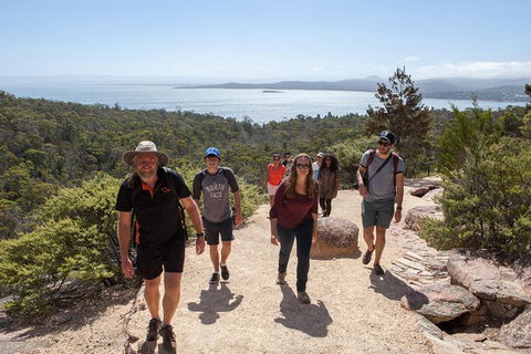 Active Day Tour One-Way From Hobart To Launceston With Wineglass Bay - Accommodation Search 3