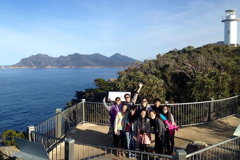 Active Day Tour One-Way From Hobart To Launceston With Wineglass Bay - Accommodation Search 6