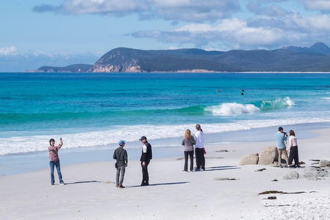 Full-Day Tour To Wineglass Bay From Hobart - Accommodation Search 7