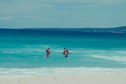Full-Day Tour To Wineglass Bay From Hobart - Accommodation Search 5