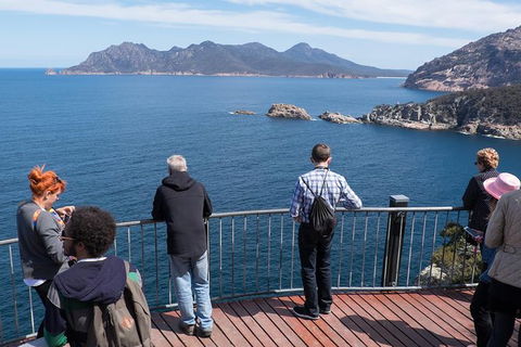 Full-Day Tour To Wineglass Bay From Hobart - Accommodation Search 6