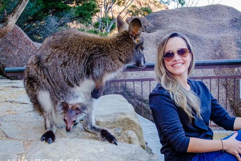 Full-Day Tour To Wineglass Bay From Hobart - Accommodation Search 9