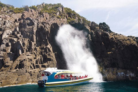 3-Hour Bruny Island Cruise From Adventure Bay - Accommodation Search 6