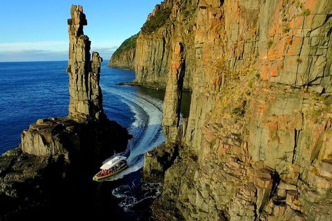 3-Hour Bruny Island Cruise From Adventure Bay - Accommodation Search 5