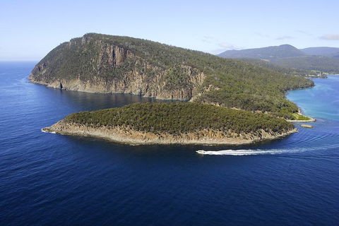 3-Hour Bruny Island Cruise From Adventure Bay - Accommodation Search 7
