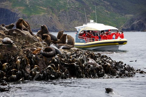 3-Hour Bruny Island Cruise From Adventure Bay - Accommodation Search 2