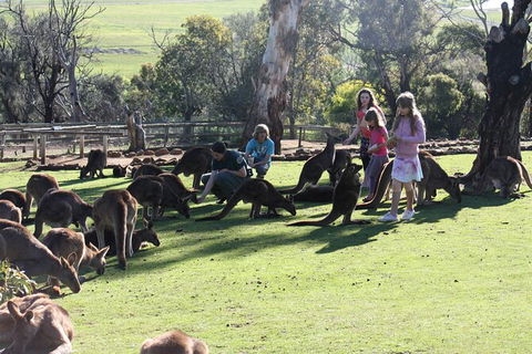 The Port Arthur MEGA Day Trip From Hobart - Accommodation Search 5