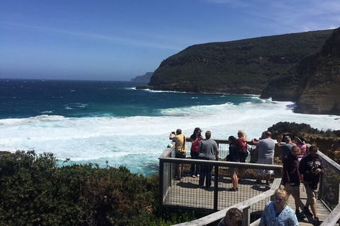 The Port Arthur MEGA Day Trip From Hobart - Accommodation Search 4