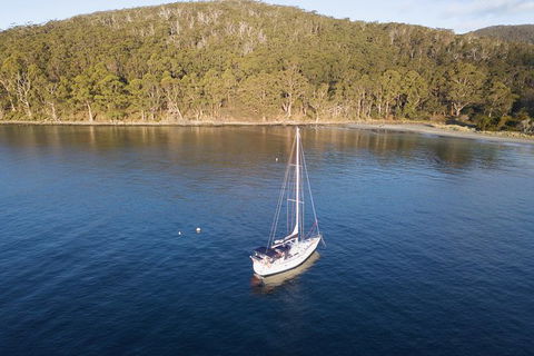 North Bruny Island Day Sail - Accommodation Search 8