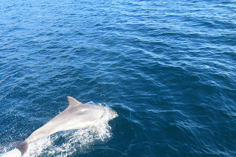 North Bruny Island Day Sail - Accommodation Search 3