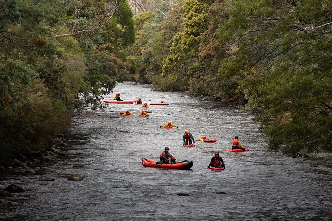 North Hobart TAS Accommodation Search