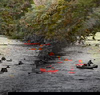 Meander Wilderness Experiences - Accommodation Search