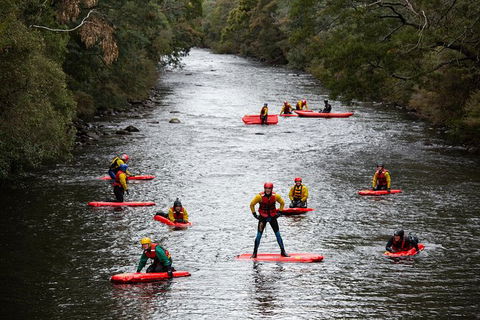 Meander Wilderness Experiences - Accommodation Search 3