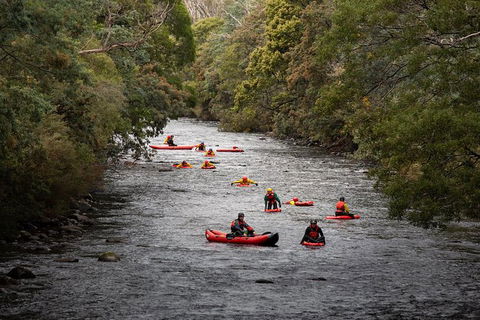 Meander Wilderness Experiences - Accommodation Search 2