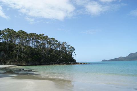 Bruny Island Day Trip From Hobart - Accommodation Search 2