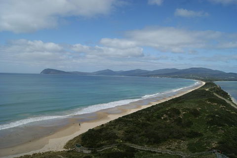 Bruny Island Day Trip From Hobart - Accommodation Search 7