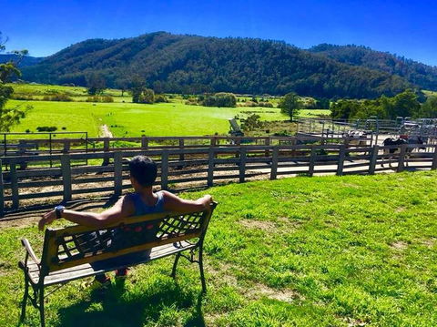 5-Day Lap Of Tasmania Tour From Hobart (flexible Ticket) - Accommodation Search 2