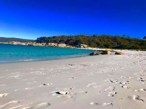 5-Day Lap Of Tasmania Tour From Hobart (flexible Ticket) - Accommodation Search 6