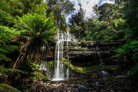 5-Day Lap Of Tasmania Tour From Hobart (flexible Ticket) - Accommodation Search 11