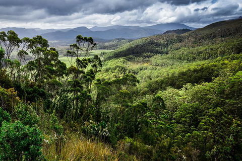 5-Day Lap Of Tasmania Tour From Hobart (flexible Ticket) - Accommodation Search 16