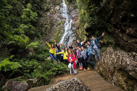 5-Day Lap Of Tasmania Tour From Hobart (flexible Ticket) - Accommodation Search 14