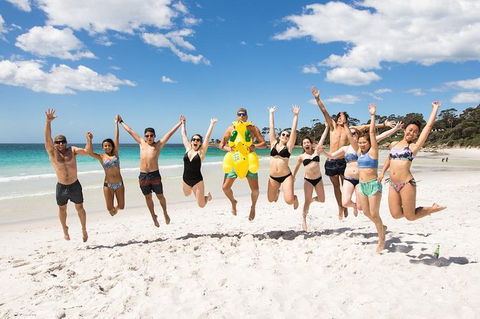 5-Day Lap Of Tasmania Tour From Hobart (flexible Ticket) - Accommodation Search 10