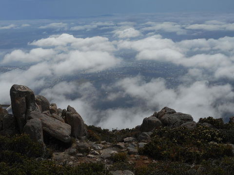 Cruise Ship Special Ex Hobart: Mt Wellington, Richmond, Bonorong With Free WiFi - Accommodation Search 15