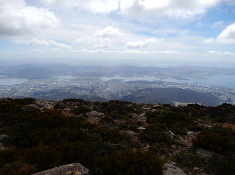 Cruise Ship Special Ex Hobart: Mt Wellington, Richmond, Bonorong With Free WiFi - Accommodation Search 10