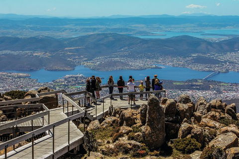 Cruise Ship Special Ex Hobart: Mt Wellington, Richmond, Bonorong With Free WiFi - Accommodation Search 23