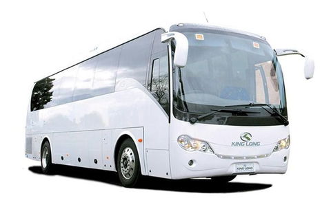Cruise Ship Special Ex Hobart: Mt Wellington, Richmond, Bonorong With Free WiFi - Accommodation Search 19