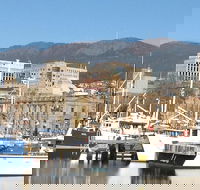 Private Mt Wellington Richmond Bonorong Wildlife Sanctuary Tour from Hobart - Accommodation Search