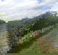 Coal River Valley  Hobart food  wine grazing tour - Accommodation Search