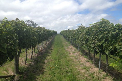 Coal River Valley & Hobart Food & Wine Grazing Tour - Accommodation Search 0