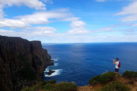Cape Raoul Hiking Tour - Tasman National Park - Accommodation Search 0