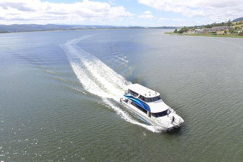 2.5 Hour Morning Discovery Cruise Including Sailing Into The Cataract Gorge - Accommodation Search 0