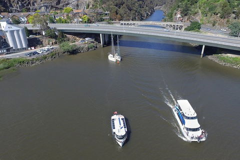 2.5 Hour Morning Discovery Cruise Including Sailing Into The Cataract Gorge - Accommodation Search 4
