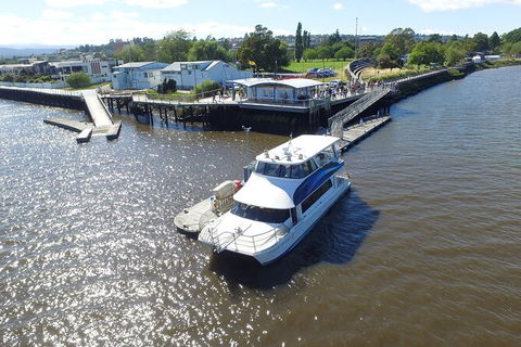 2.5 Hour Morning Discovery Cruise Including Sailing Into The Cataract Gorge - Accommodation Search 3