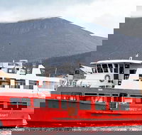 Mt Wellington and Harbour Cruise combo - Accommodation Search