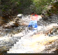 Half Day Cradle Mountain Canyoning Lost World Canyon - Accommodation Search