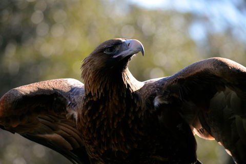 Wildlife Day Tour (4+ Hours, $195 Per Person) - Accommodation Search 0