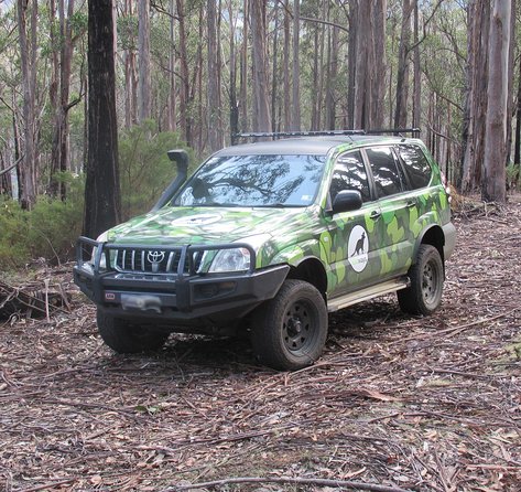 Wildlife Day Tour (4+ Hours, $195 Per Person) - Accommodation Search 6