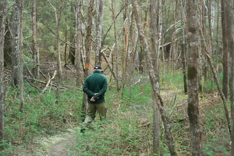 Wildlife Day Tour (4+ Hours, $195 Per Person) - Accommodation Search 12
