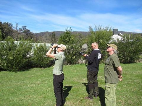 Wildlife Day Tour (4+ Hours, $195 Per Person) - Accommodation Search 9
